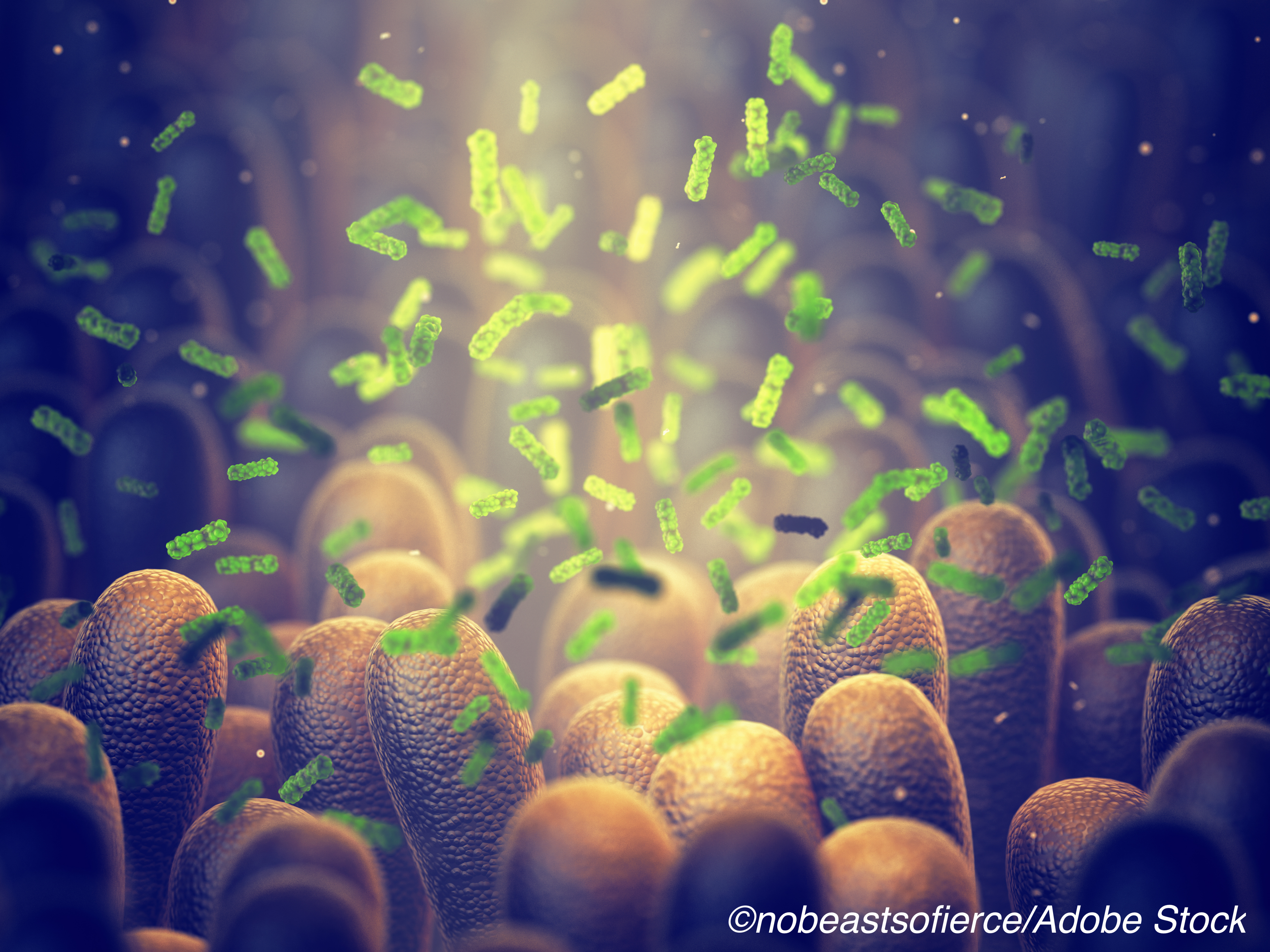 Microbiota Associated with Kids’ Stunted Growth