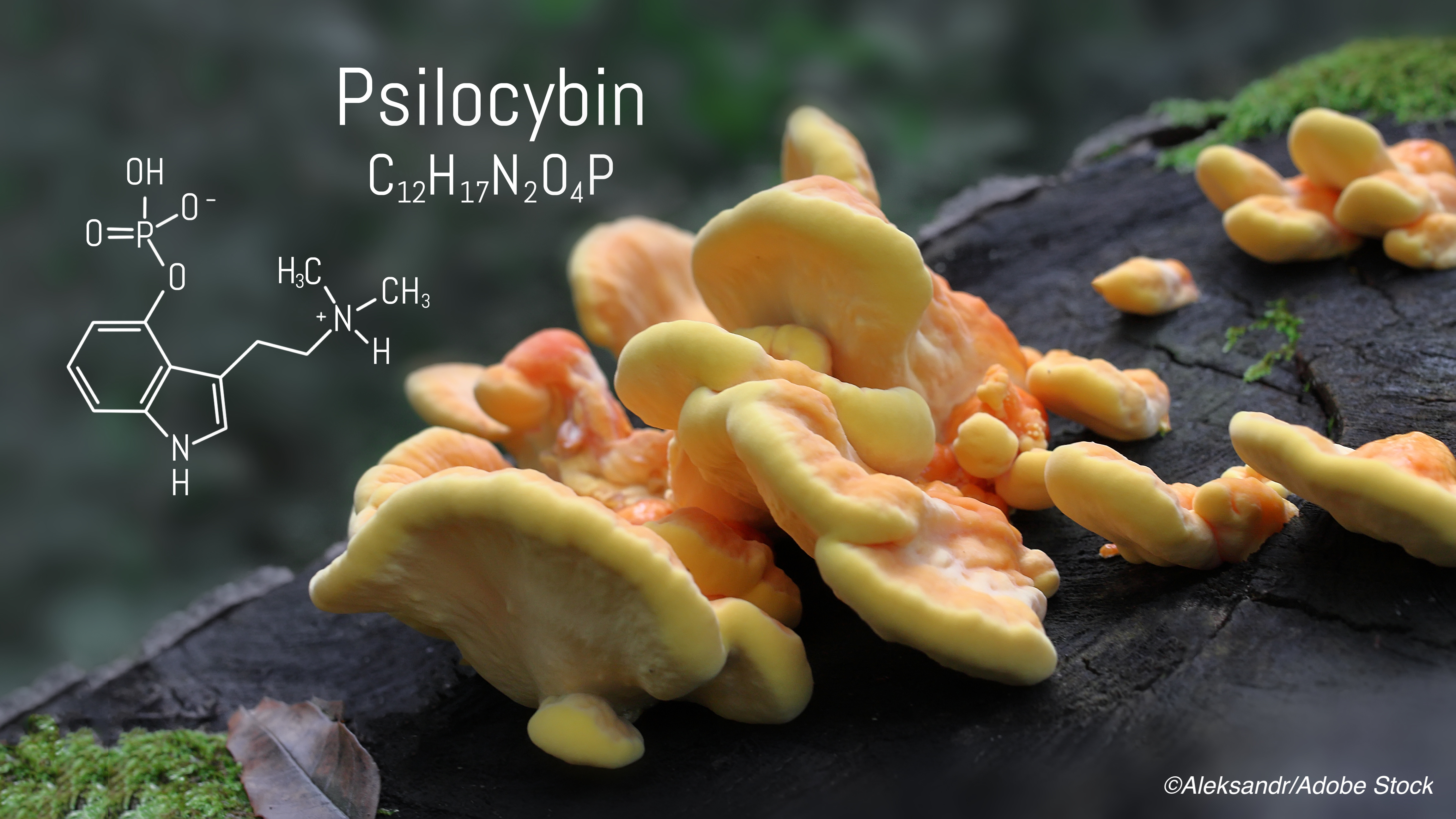 The Magic in ’Magic Mushrooms’: Can Psilocybin Make a Mark in Depression Tx?