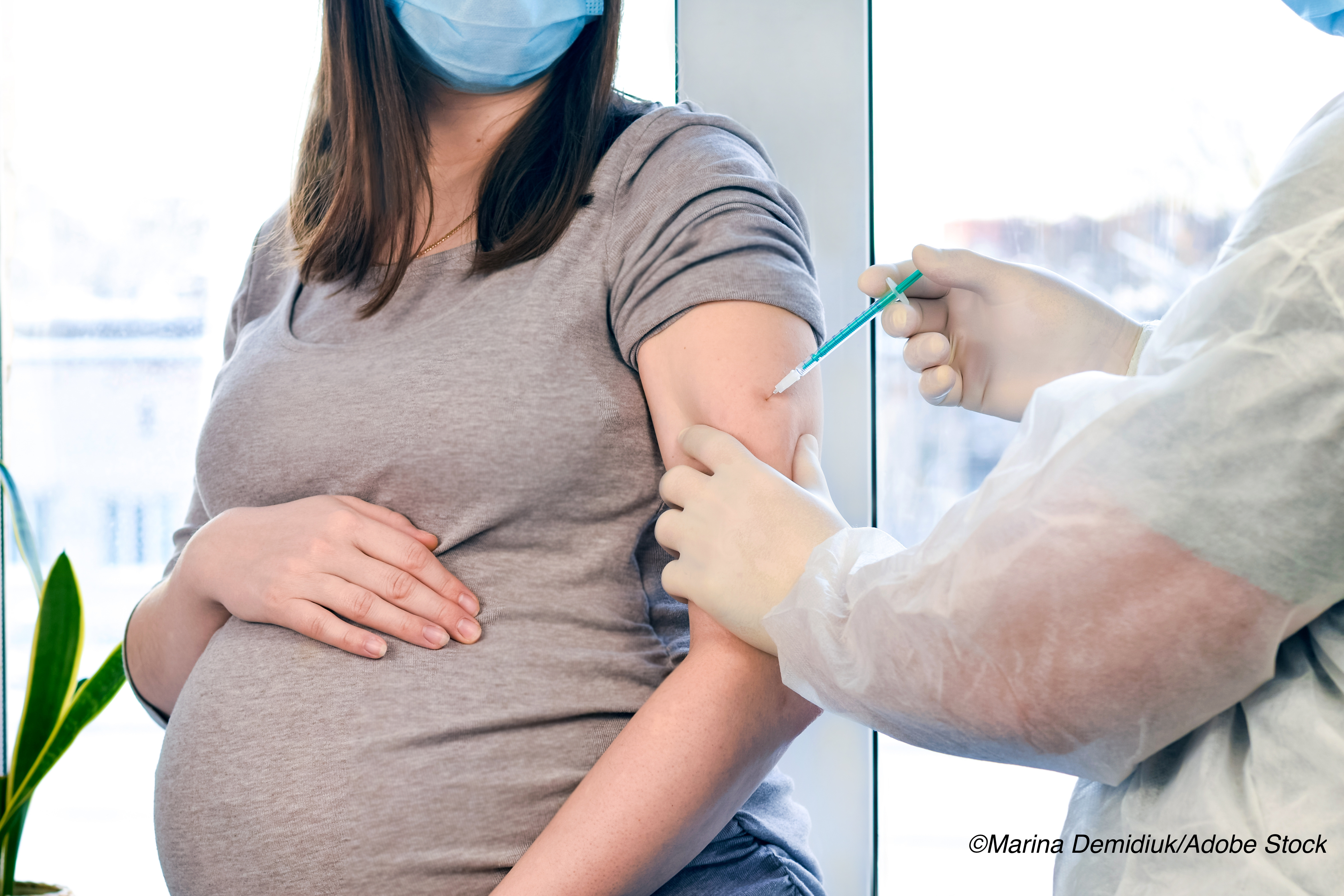 Covid-19: Early CDC Data Show No Vaccine Safety Signals in Pregnant Women