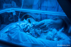 Late-Preterm Infants Benefit From Pre-Birth Steroid Exposure